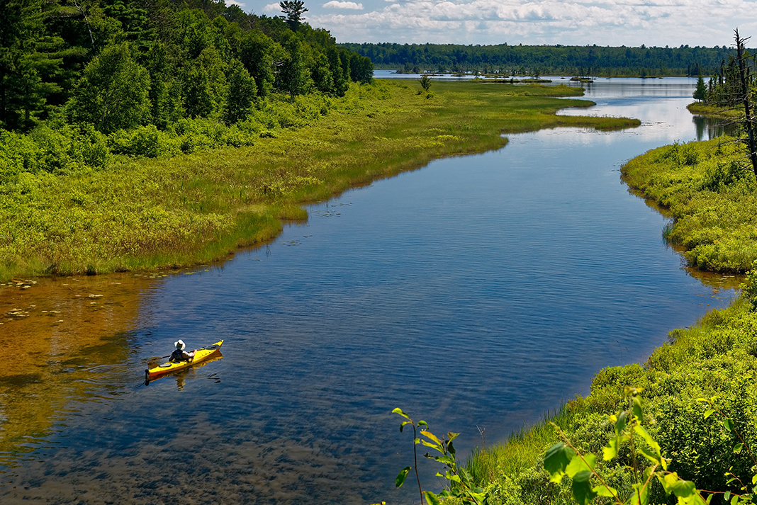 A kayaker on a river with green vegetation on either side