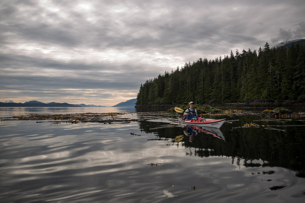 man sea kayaking in Telegraph Cove